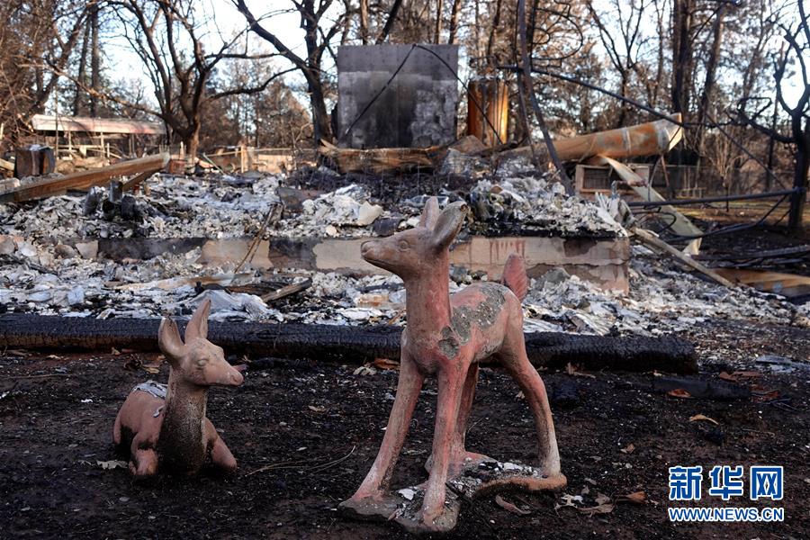 （國(guó)際&middot;圖文互動(dòng)）（6）一場(chǎng)山火，讓這個(gè)冬天格外冷&mdash;&mdash;探訪美國(guó)加州山火災(zāi)區(qū)