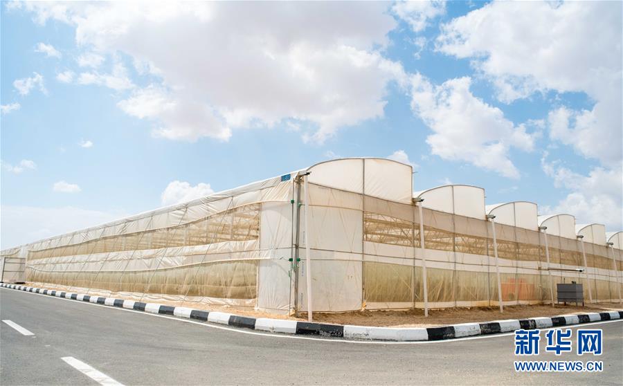 （國際&middot;&ldquo;一帶一路&rdquo;高峰論壇&middot;圖文互動(dòng)）（1）荒漠正在成為瓜果飄香的綠洲&mdash;&mdash;記中國國機(jī)重工埃及現(xiàn)代農(nóng)業(yè)溫室項(xiàng)目