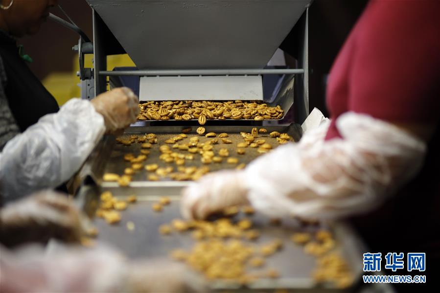 (國際·圖文互動)(8)通訊:期待美中盡早達成貿(mào)易協(xié)議——颶風和關(guān)稅夾擊下的美國山核桃種植戶盼重回中國市場