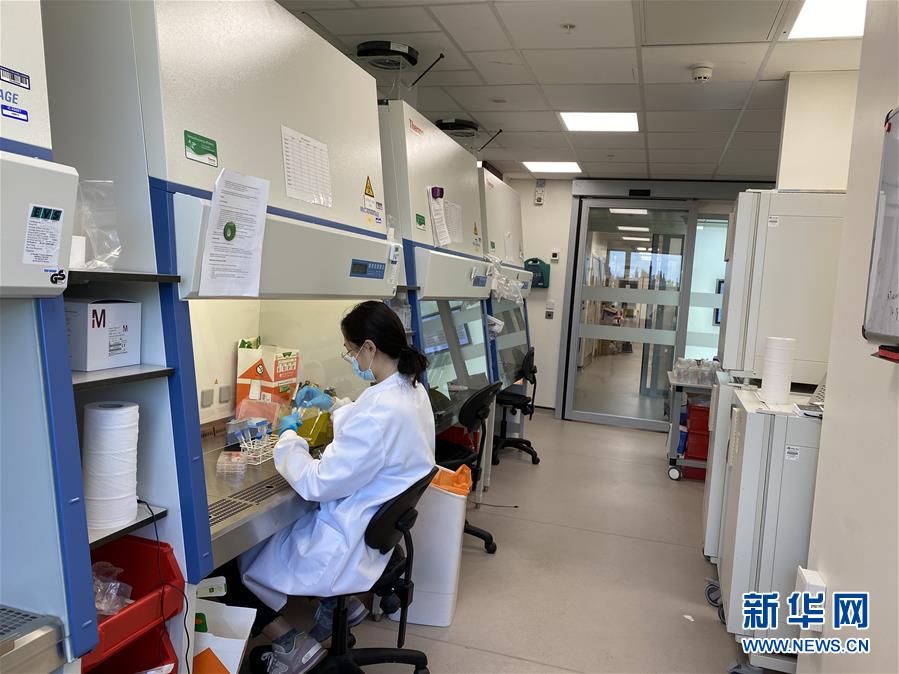 (新華全媒頭條·圖文互動)(10)寰球抗疫晝夜間