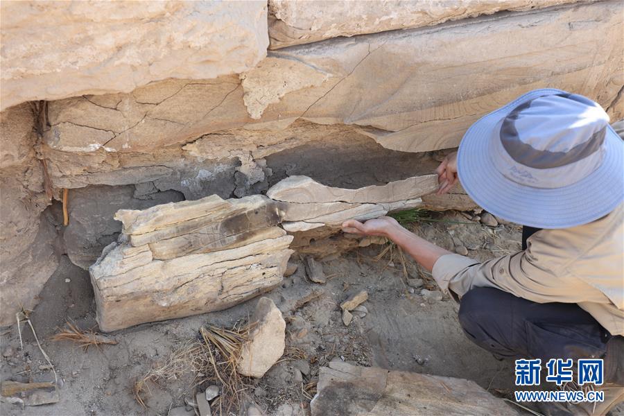 (國際·圖文互動)(8)疫中考古——中國與埃及首次聯(lián)合考古取得階段性成果