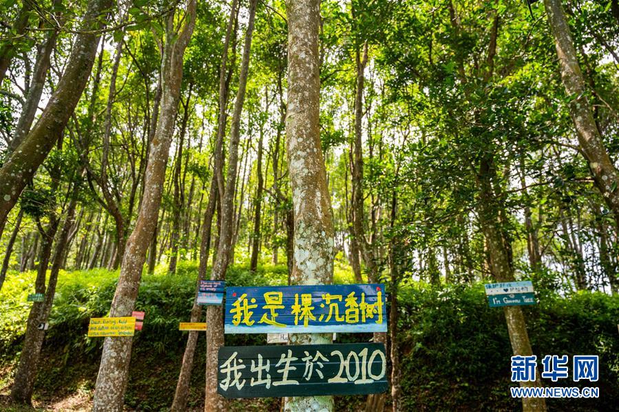 （第三屆進(jìn)博會(huì)&middot;圖文互動(dòng)）（10）專(zhuān)訪(fǎng)：進(jìn)博會(huì)提供了一個(gè)共享中國(guó)發(fā)展機(jī)遇的平臺(tái)