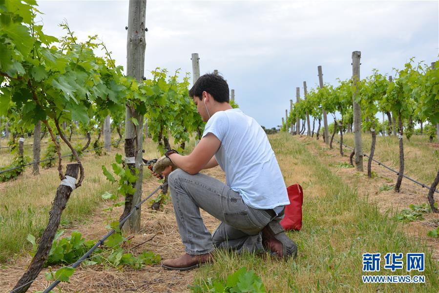 （第三屆進博會&middot;圖文互動）（7）專訪：進博會是了解中國市場的好機會&mdash;&mdash;訪澳大利亞諾瓦維塔葡萄酒集團創(chuàng)始人卡臣