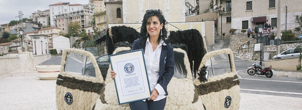 意造型師為愛車做&ldquo;發(fā)型&rdquo; 耗100公斤頭發(fā)獲吉尼斯世界紀錄稱號