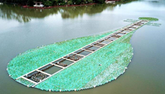 鳥瞰福州西湖 萬(wàn)株鳶尾宛如一把&ldquo;翡翠琵琶&rdquo;