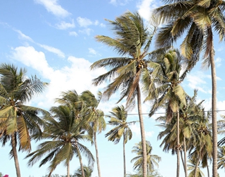 &ldquo;西非門(mén)戶(hù)&rdquo;塞內(nèi)加爾