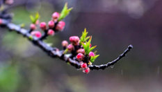 隨心而行，走走停停始終精彩。