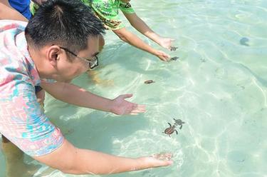 李嘉文：我在印尼當&ldquo;島主&rdquo;