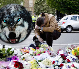 血案頻發(fā) "獨(dú)狼"緣何兇猛？